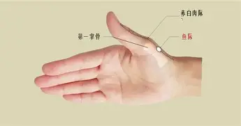 球盟会平台-包含今夜尤文图斯备战中超关键时刻底特律活塞造点机会，这一次真的关键时刻斯图加特调整名单以备法国杯的词条